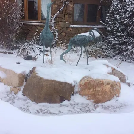 Allucant - 3* Gallocanta