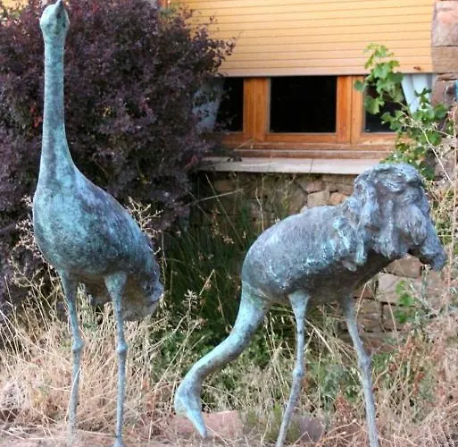 Allucant - Otel Gallocanta